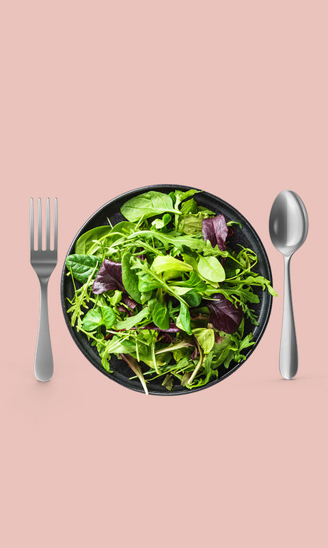 Plant-Based Plan